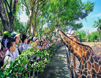 【星動泰國】五星曼谷芭達雅．長頸鹿餵食秀．爆笑鐵支路．四方水上市場5+1天