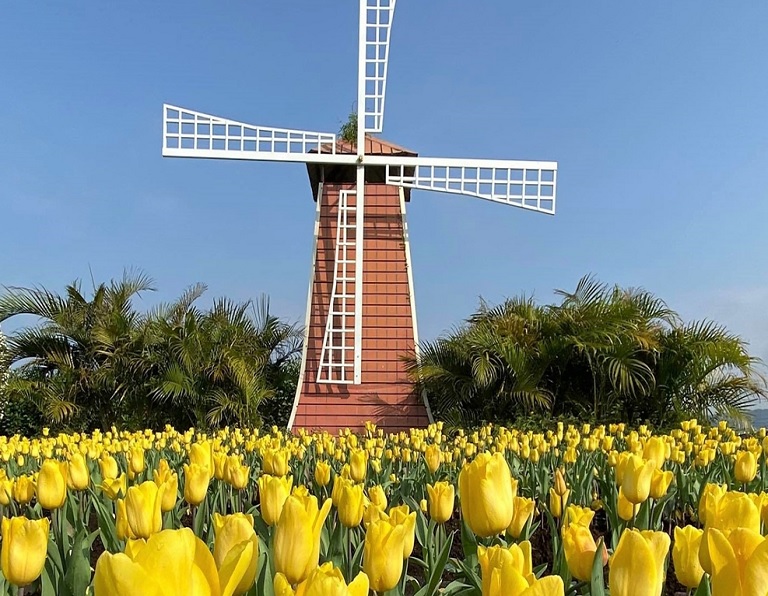 【中社好星情】后里森林公園、潭雅神單車1日
