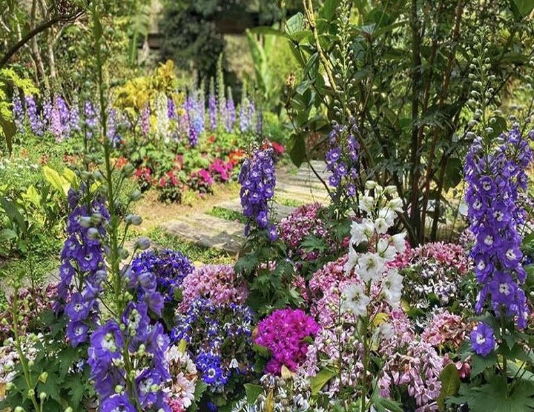 台中薰衣草森林．東勢林業．逢甲夜市1日豐富行