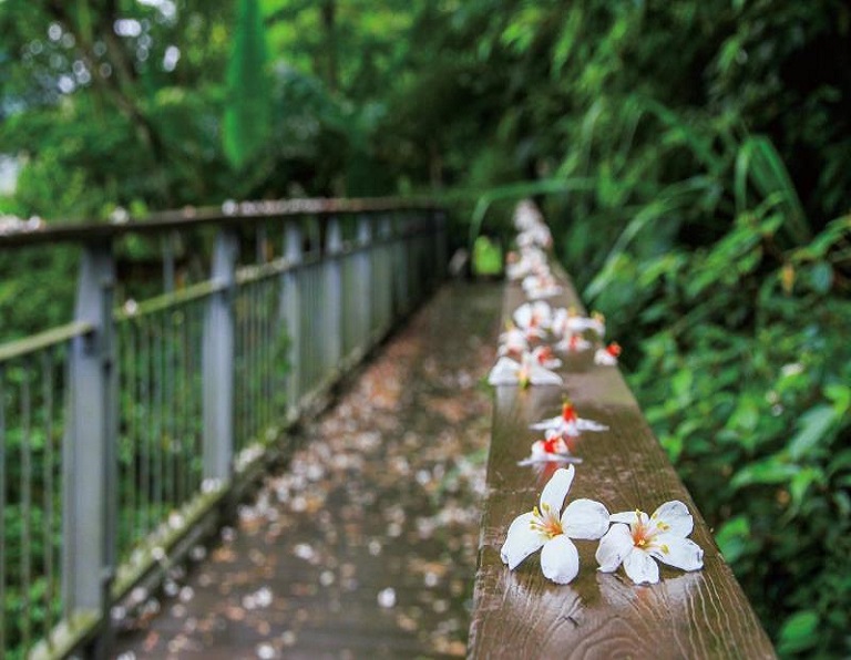苗栗★戀戀山海鄉村體驗2日