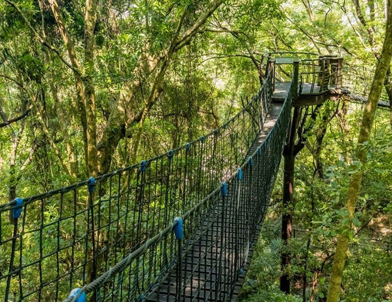 【六人成行】巴陵古道、羅浮吊橋、拉拉山森林溪秘境2日