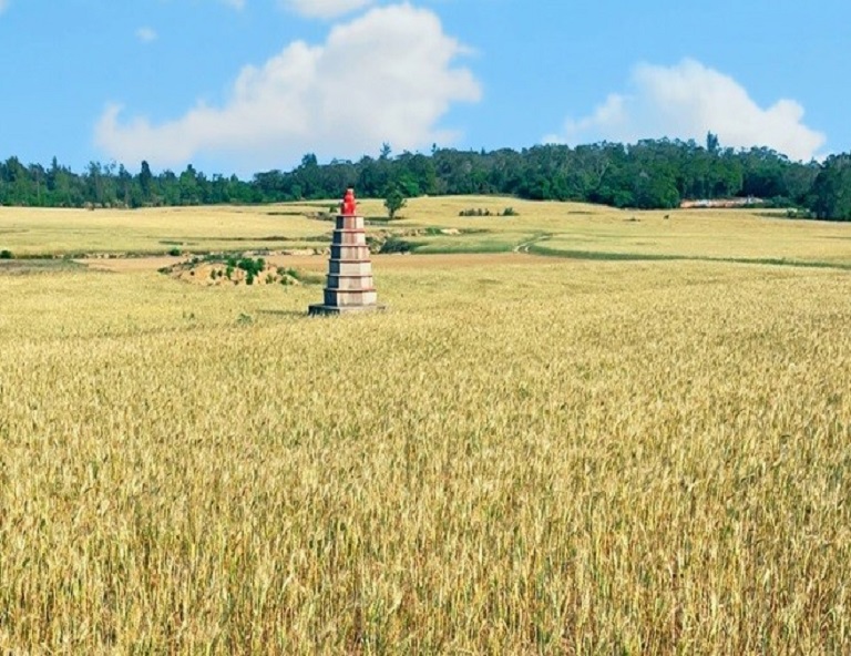 【作夥到陣去旅行】金門高粱季、金門酒廠、翟山坑道~金門金暢秋3日