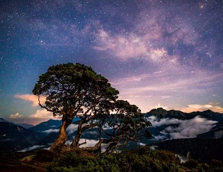 南投清境星空探索．國民賓館2日