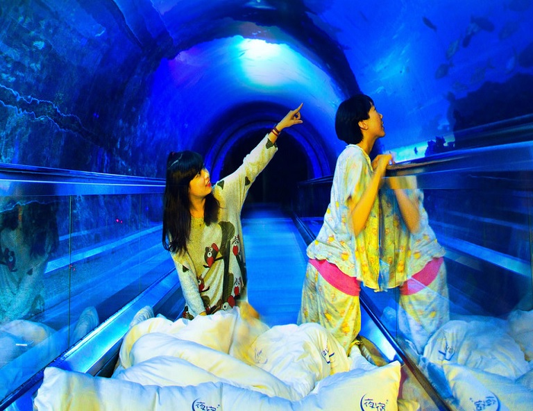 墾丁夜宿國立海洋生物博物館2日