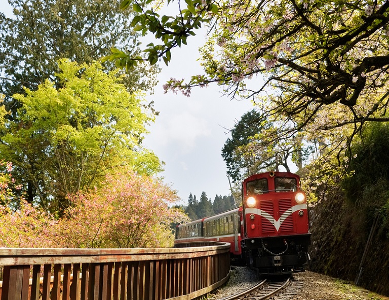 嘉義阿里山小火車．觀日出2日精緻遊