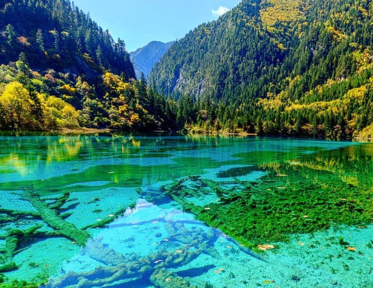 【玩樂四川】九寨溝、黃龍、峨眉山、樂山大佛、黃龍溪古鎮8天(交流考察團)