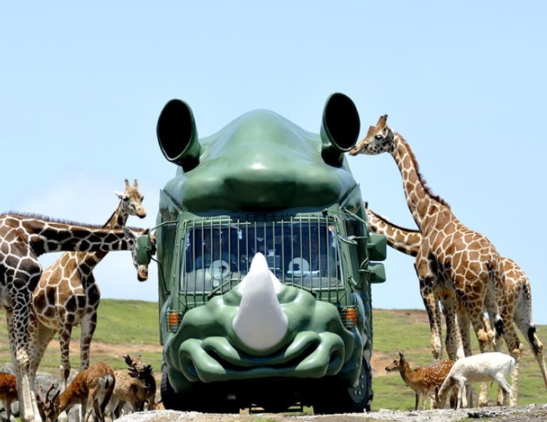 【童心玩九州】自然野生動物園．三麗鷗諧和樂園．湯布院．皿倉山纜車．巨大恐龍化石．溫泉饗宴5天