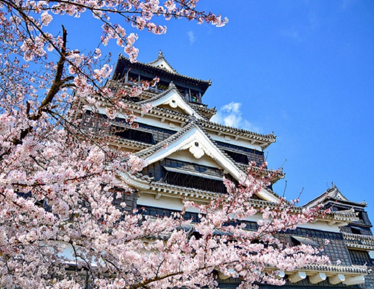 【九州櫻飛舞】舞鶴公園．熊本城．高千穗峽．柳川遊船．湯布院．竈門神社５天