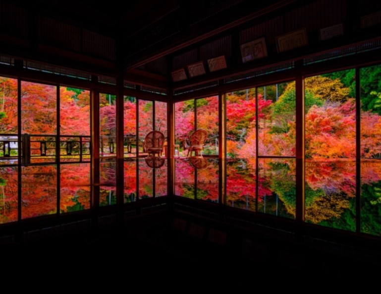 【楓玩九州】高千穗峽．耶馬溪．環境藝術之森．御船山．大興善寺．秋月城跡５天