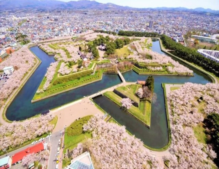 【花見幸福】五稜郭．北斗櫻回廊．手宮公園．北海道神宮．萌企鵝．金森倉庫群5天