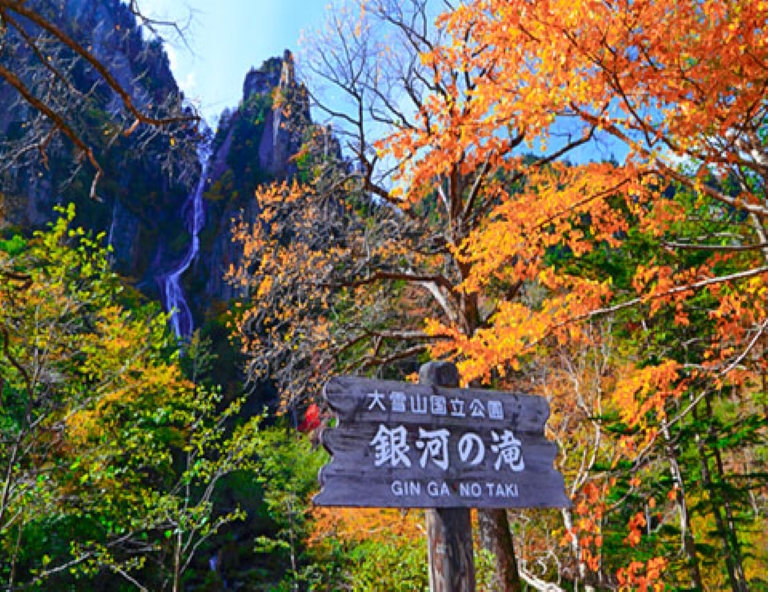 【北海道楓特惠】層雲峽黑岳纜車．豐平峽．瀧野鈴蘭公園．小樽運河．雙溫泉 5天