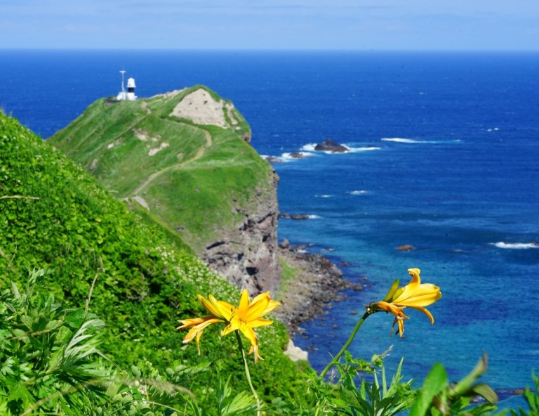 【蔚藍北海道】秘境青池．可愛北極熊．江戶忍者花魁秀．積丹半島．洞爺湖花火5天