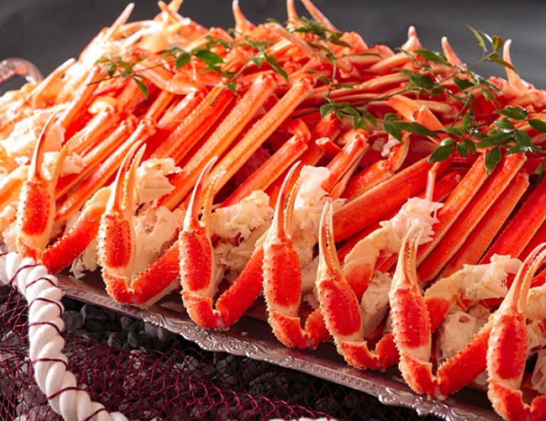 【激安北海道】積丹藍半島神威岬．童話小樽．萌企鵝x熊牧場．北廣島OUTLET 5 天