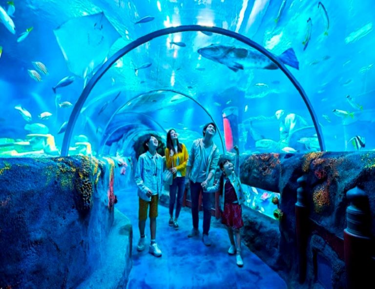 【樂遊北陸】樂高樂園．恐龍博物館．合掌村．牧歌之里．燒肉吃到飽．溫泉饗宴5天