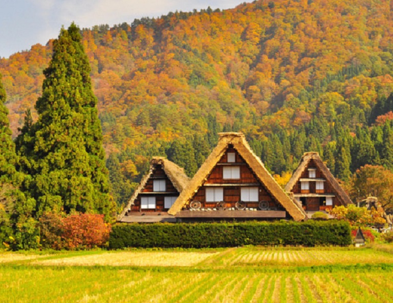 【北陸賞楓清艙】紅葉上高地．童話合掌村．夢幻波波草．飛驒小京都．溫泉 5天