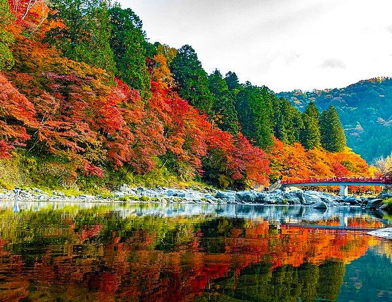 【北陸楓限定】紅葉香嵐溪．立山黑部．秘境上高地．絕美雨晴海岸．天空之城 5天