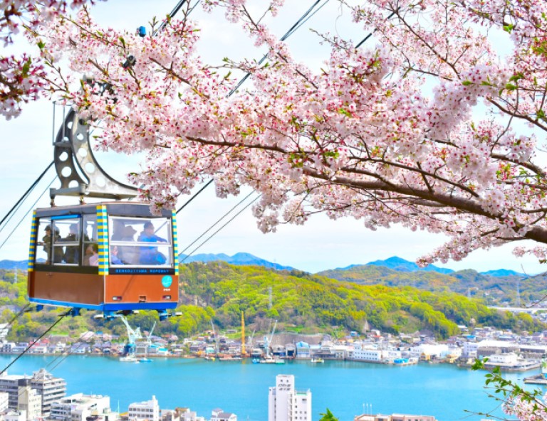 【廣島櫻之戀】嚴島神社x原爆圓頂館．浪漫粉蝶花．千光寺櫻百選．神隱少女5天