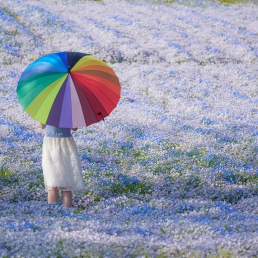 春遊四國．揪團最高省2萬