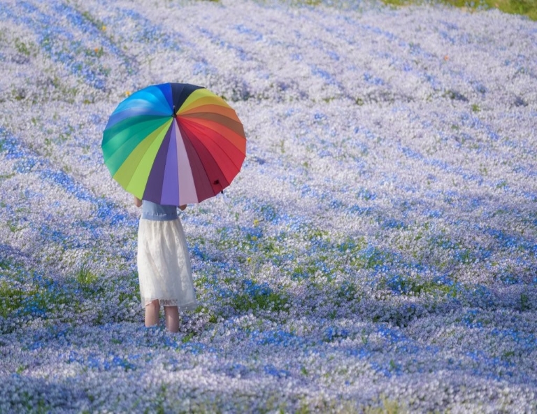 【璀璨四國】讚岐滿濃公園．仁淀川x大步危．金刀比羅宮．檮原町．天空之鏡5天