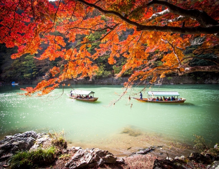 【四國賞楓趣】升等雷歐瑪之森．大步危峽谷．金刀比羅宮．栗林公園．高知城 4天
