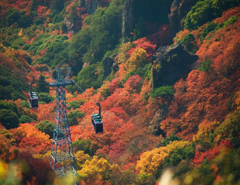 【四國紅葉賞】經典楓名所．道後溫泉．大步危峽遊船．小豆島．足摺星空旅宿 4/5 天