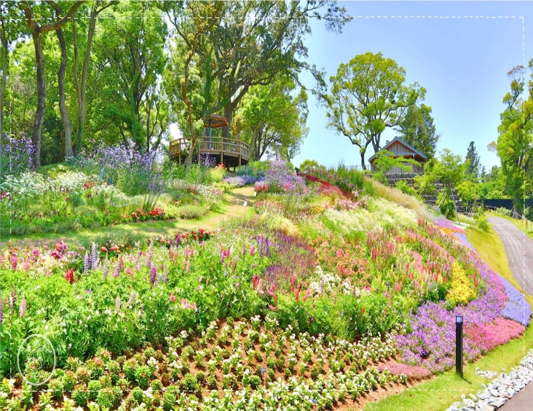【璀璨四國】小豆島寒霞溪．四萬十川．鰹魚炙燒+烏龍麵體驗．松山城．三溫泉6天