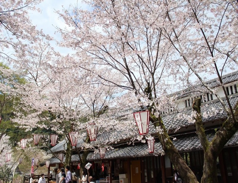 【日本四國．第二人半價】大步危峽遊船．雲邊寺纜車．金刀比羅宮．名湯溫泉4天