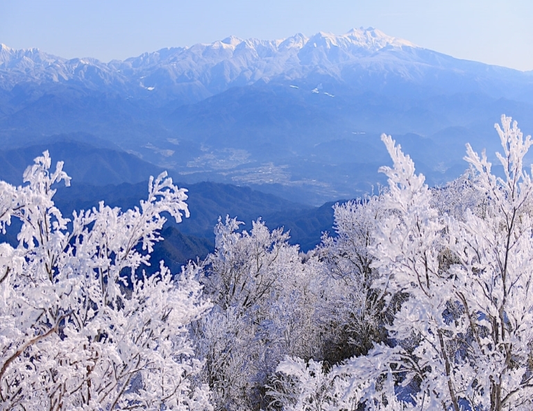 【冬趣四國】石鎚山霧冰ｘ戲雪趣．鰹魚炙燒．神隱少女湯屋．金刀比羅宮．溫泉4天