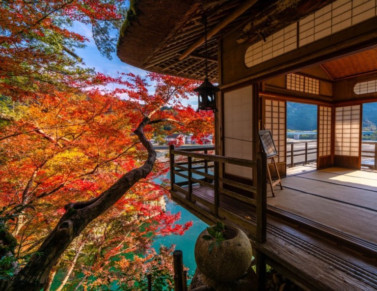 【楓舞四國】大步危峽谷遊船x秘境葛藤橋．雲邊寺纜車．臥龍山莊．名湯饗宴4天