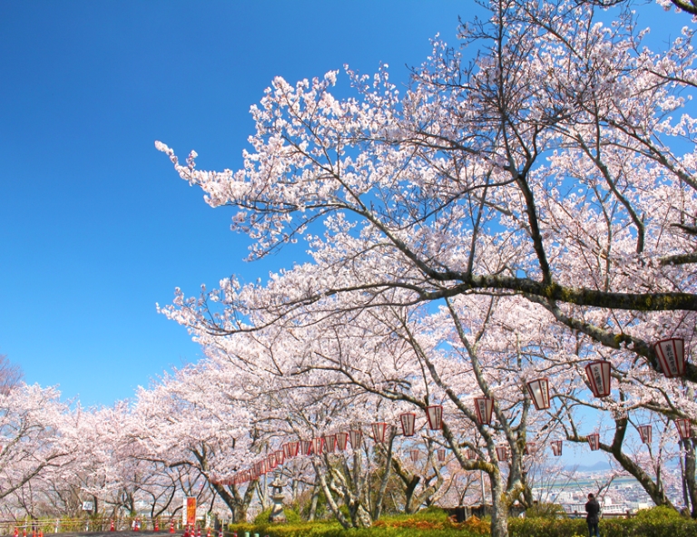 【花現四國】大步危峽谷．紫雲出山．阿波舞．金刀比羅宮．栗林公園．名湯饗宴4天