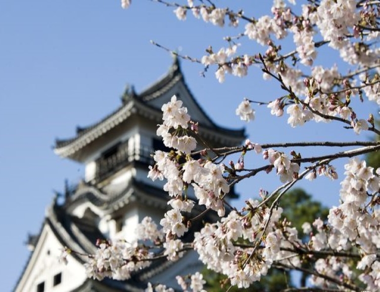 【四國櫻飛舞】仁淀川屋形船．黑潮鐵道．鰹魚炙燒．琴彈公園．高知城．溫泉5天