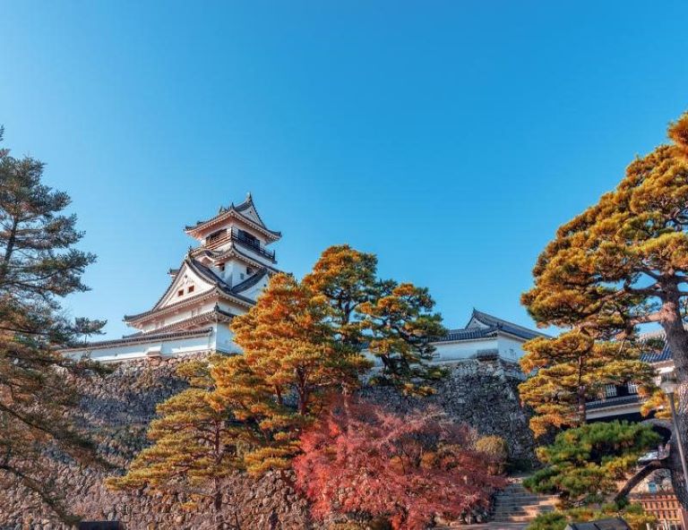 【楓迷四國】仁淀川屋形船．雲邊寺纜車．大步危峽谷．金刀比羅宮．名湯饗宴5天