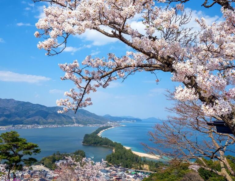 【絕美關西】國寶姬路城．竹田城跡．天橋立．伊根舟屋群．丹後鐵道．溫泉 5天