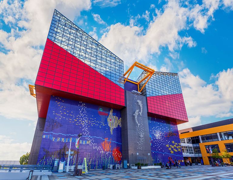 
【關西之星】日本環球影城．海遊館．美山合掌村．清水寺．貴船神社．奈良萌鹿 5天 
