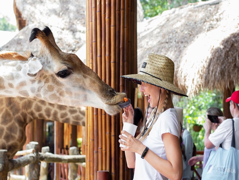 【駿馬迎春~奇幻富國島6天】香島跨海纜車．珍珠野生動物園．大海龜樂園．威尼斯大世界．南島2晚5星