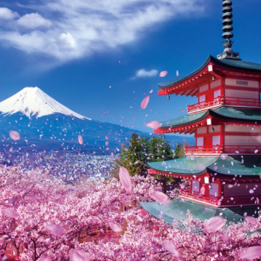 河口湖X富士山X螃蟹吃到飽