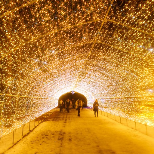 冬季限定！東北最大彩燈嘉年華