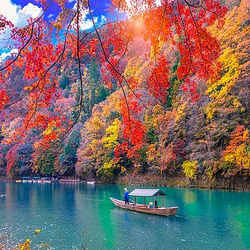 期間限定．楓迷關西