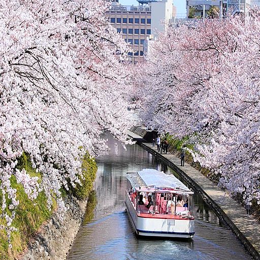春日饗宴．賞櫻名勝