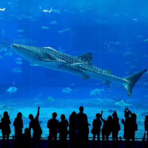 下班就出發．沖繩小旅行