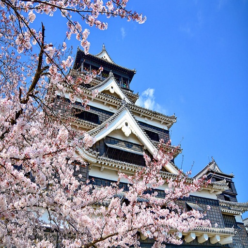 浪漫九州．粉櫻名所