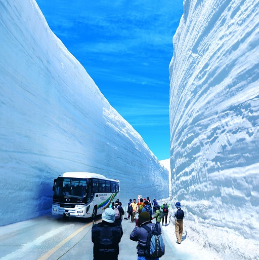 期間限定．立山雪牆