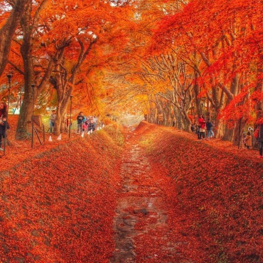 關東紅葉物語