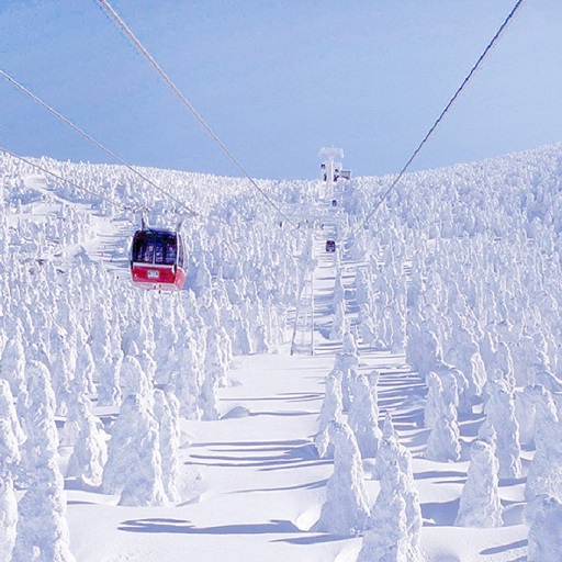 冬季預購．早鳥省2,000