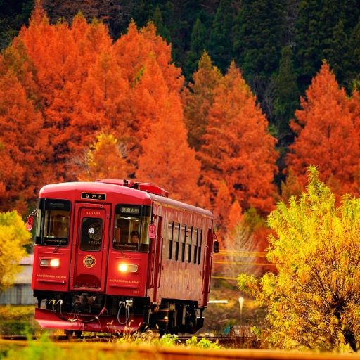 北陸楓物語．紅葉名勝