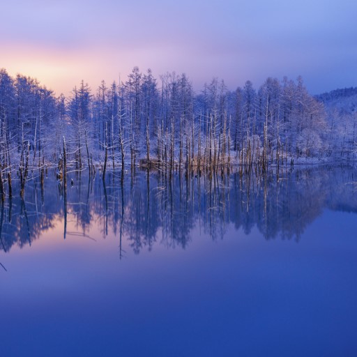 冬季特賣會．螃蟹放題x雙溫泉