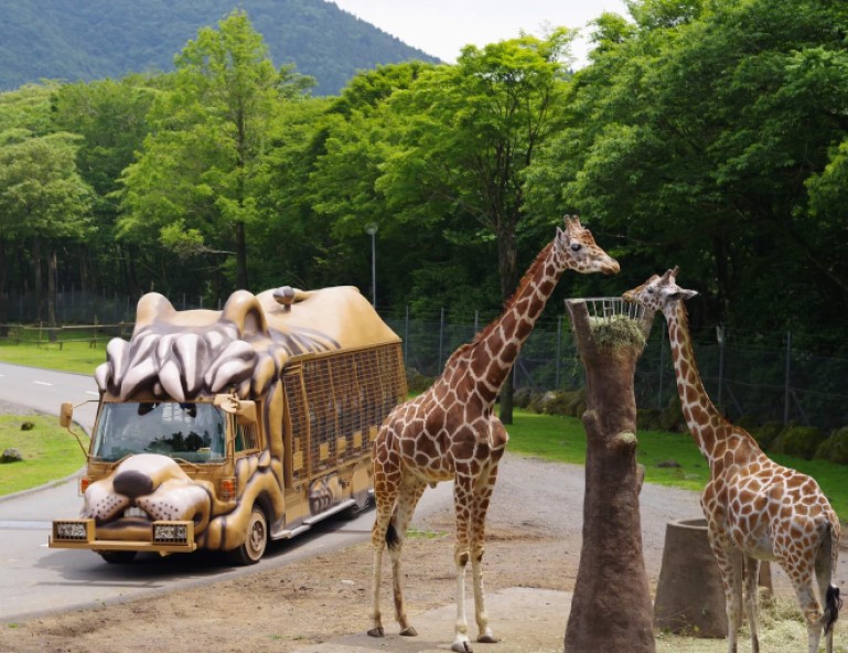 【童心玩東京】迪士尼．橫濱麵包超人．富士野生動物園x叢林巴士．溫泉饗宴5天