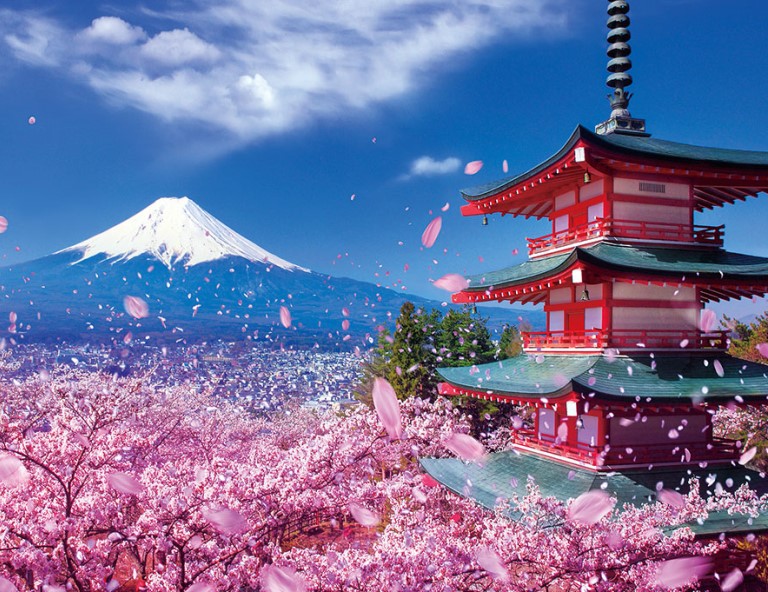 【東京追櫻趣】迪士尼．箱根鐵道x早川堤櫻花．新倉淺間神社．新宿御苑．溫泉5天