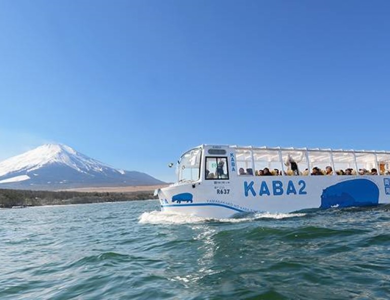 【東京玩透透】迪士尼．橫濱八景島x可愛海豚秀．KABA河馬巴士．採果趣．溫泉5天