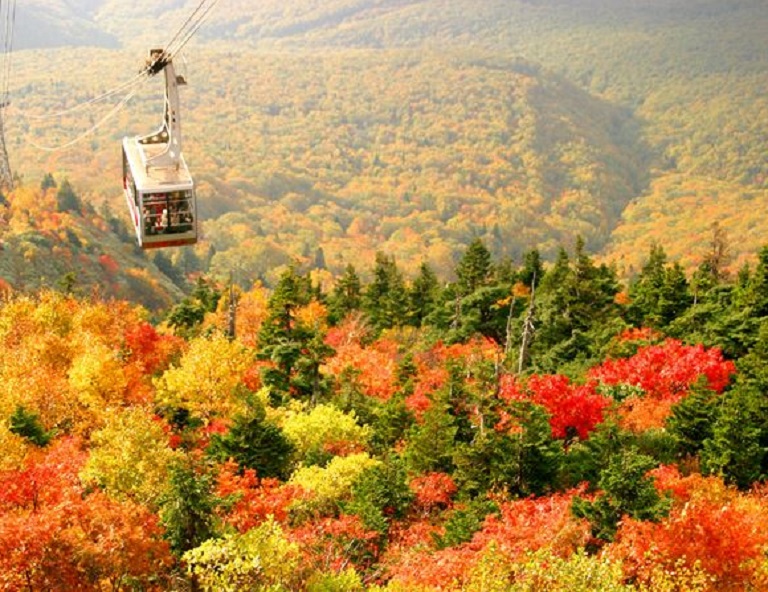 【楓迷星東北】奧入瀨溪．銀山溫泉．八甲田纜車三段染．抱返溪谷．青森採蘋果 5天